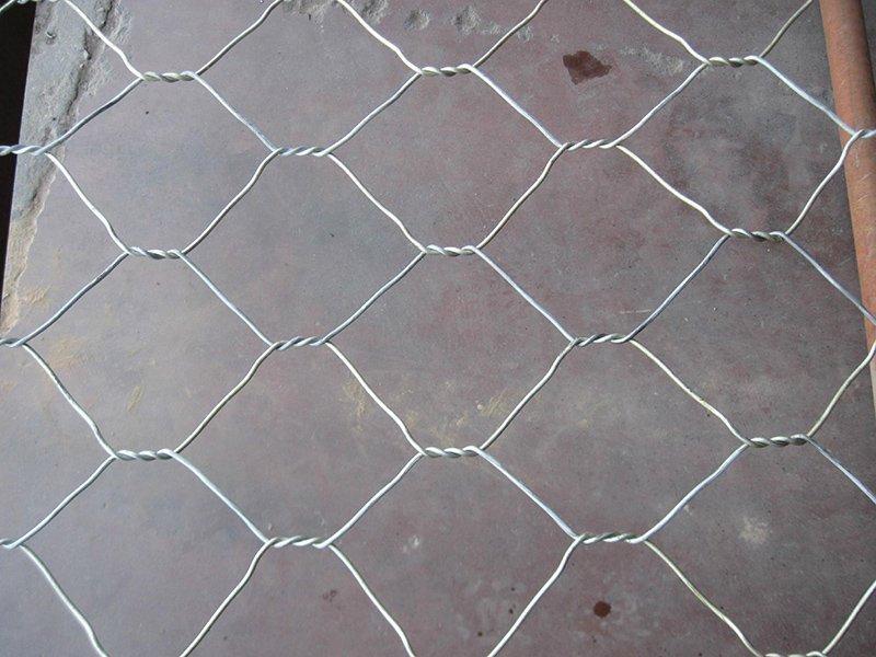 鍍鋅石籠網(wǎng)