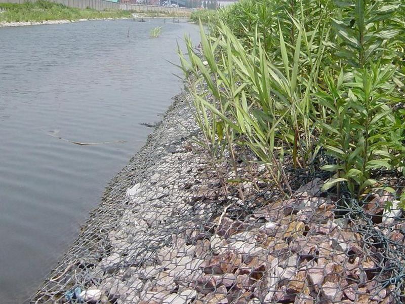 護岸格賓網(wǎng)